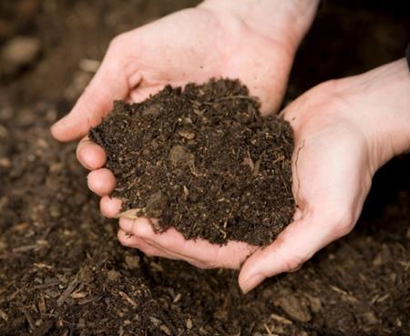 COMPOST: ENHANCING THE VALUE OF MANURE An