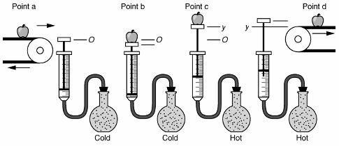 The flask and pressure sensor can be connected to the syringe with short lengths of flexible Tygon tubing, and the flask can be placed alternately in a cold reservoir and a hot reservoir.