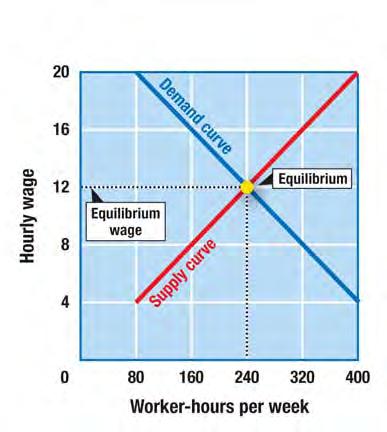 Equilibrium Wage What determines the equilibrium wage of labor?