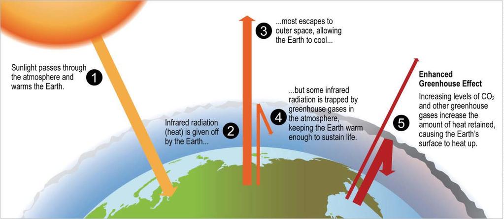 1.2 Human activity is contributing Greenhouse gases in the atmosphere trap radiation given off by the Earth (Figure 1.2). This helps keep the planet warm enough to sustain life.
