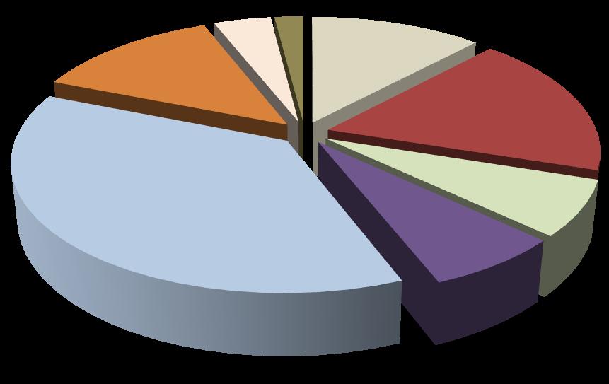 The shares of the eight investment programs in percent of the total investment volume under Scenario 1 are illustrated in Figu