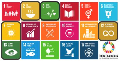 Sustainable Development Goals 2.