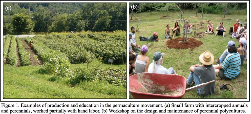 the conscious design and maintenance of agriculturally productive ecosystems which have the diversity, stability, and resilience of natural ecosystems. Mollison 1988, p.