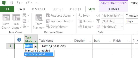 You will find them in the scheduling options for this project section.
