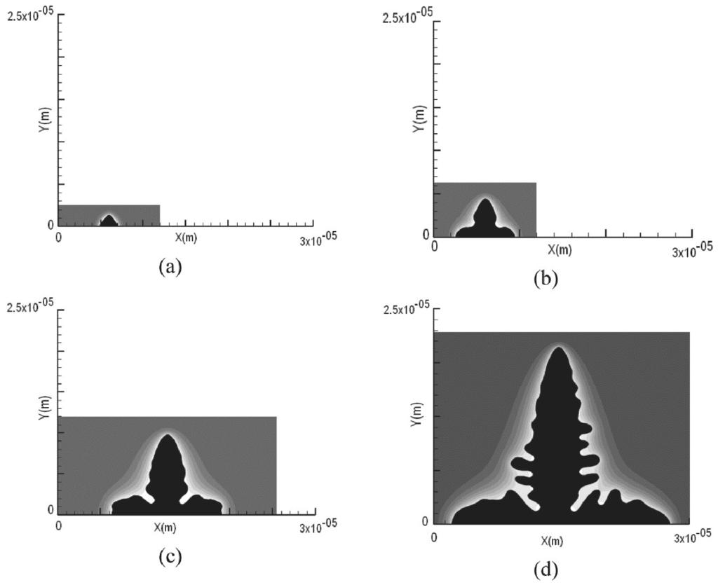 652 Ferreira et al. Materials Research Figure 10. Development of the adaptive computational domain for dendritic growth for binary alloy (Fe-C).