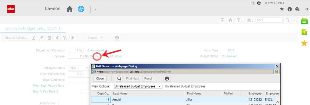 Unreleased Budget Employee view is the default