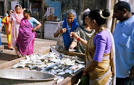 However, women help men in post-harvest handling of fishes in capture fisheries Social