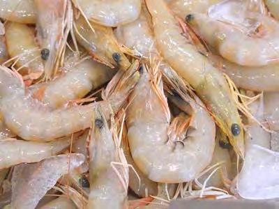 Aquaculture production has shown phenomenal increase and