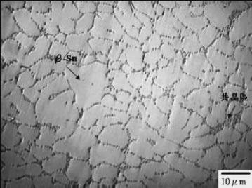The Recrystallization of Microelectronic Lead-Free Solders 2301 β Sn eutectic zone 30 µ m (c) 20 µm (d) Fig.