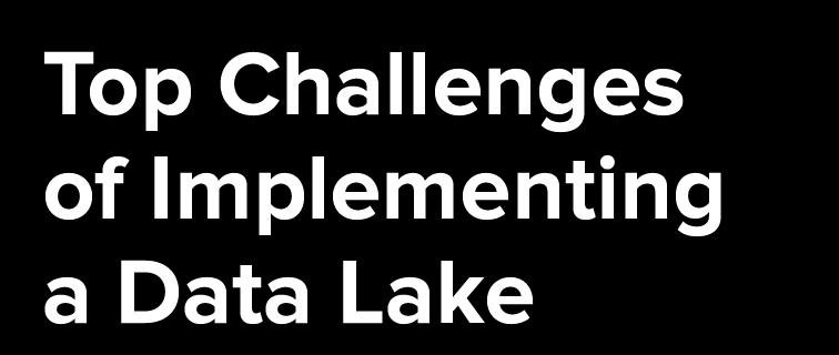 Top Challenges of Implementing a Data Lake While Big Data projects help organizations overcome challenges and open up new opportunities in their business, they also come with their own set of hurdles.