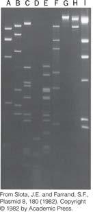 Using polynucleotide kinase and g- 32 P-ATP Biochemical Basis of
