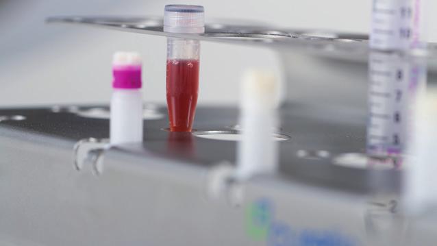 flagged blood cultures within approximately five hours.