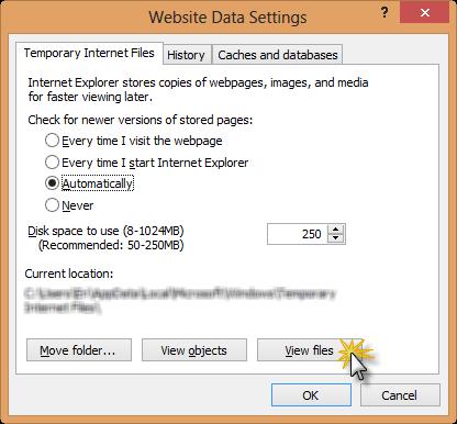 You should now see the following window (Figure 3). Figure 3: Website Data Settings Click on View Files, you will see another window with all the temporary files.