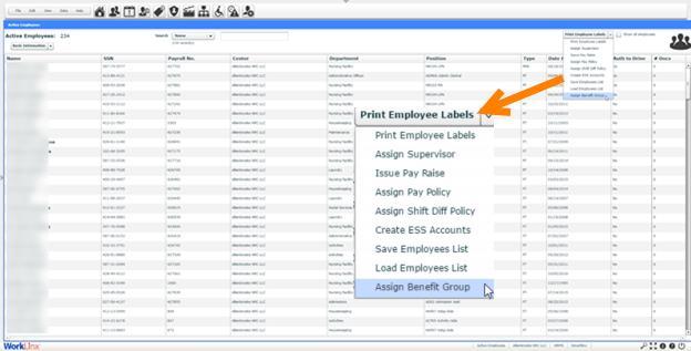 Selecting Assign Group Benefits will bring up a menu where you can view all employees for the Org Level selected, employees to put into a particular Benefit Group en masse: o A select column for