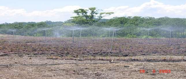 Australia Spray irrigation on