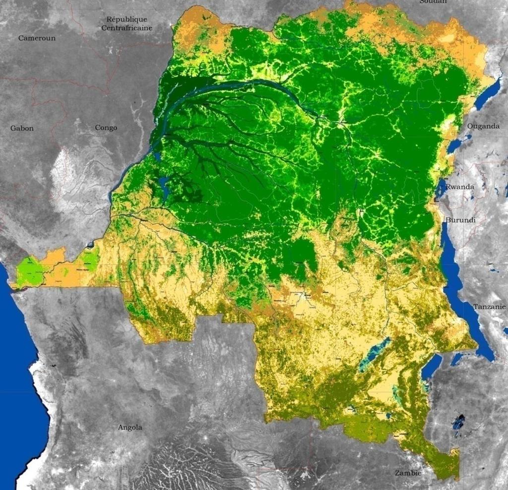 Introduction: DRC s forest is a precious asset of global importance 2 145Mha of forests, about 10% of world tropical forests A carbon stock of 140Gt CO2, equivalent to 3 years of global cumulated