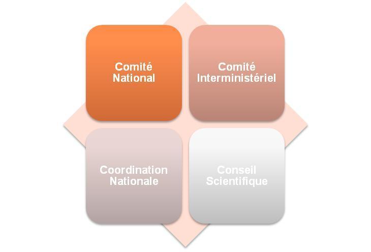 stakeholder National Committee Joint ministerial Coordination Council