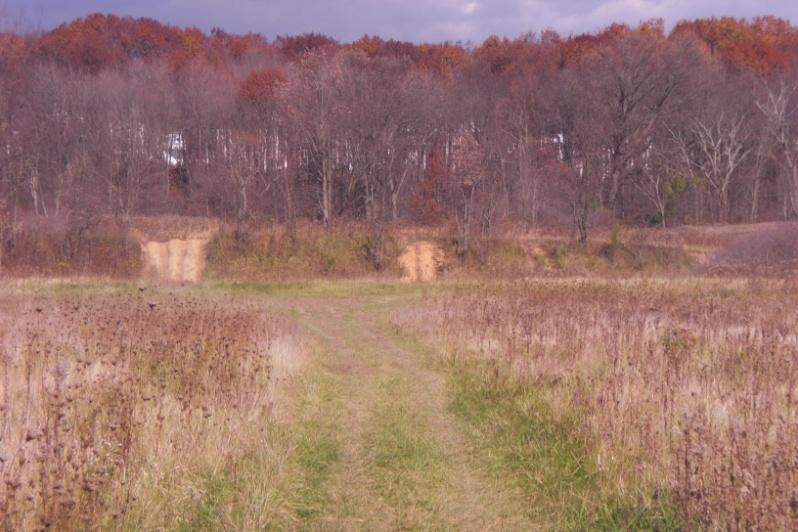 Bottom left: A trail