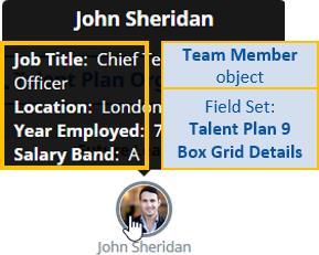 If checked and Talent Plan 9 Box Grid is not checked, Talent Plans display in org chart view. Checkbox.