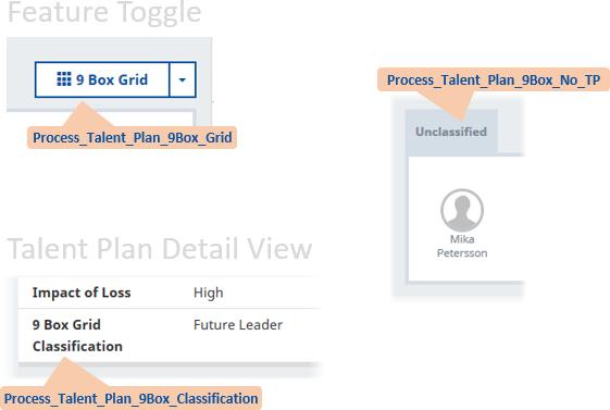 How to Set Up Existing Processes Talent Plan Configuration To edit Custom Labels: 1. Go to Setup > App Setup > Create > Custom Labels. 2. Sort the listing by selecting the column header.