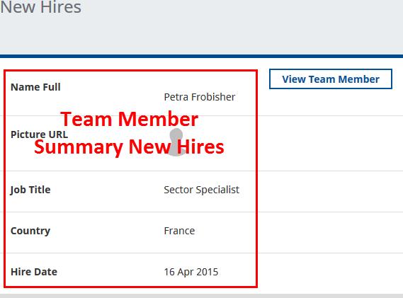 Summary New Hires Fields displayed in the WX Summary Process Detail view for New Hires.