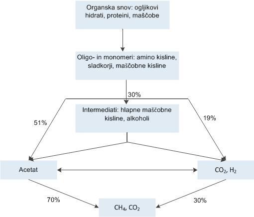 Slika 1: Shema anaerobnega razpada organske snovi [povzeto po Ahring B.K., 2003] 2.2 Bioplin Bioplin je produkt procesa anaerobne razgradnje.