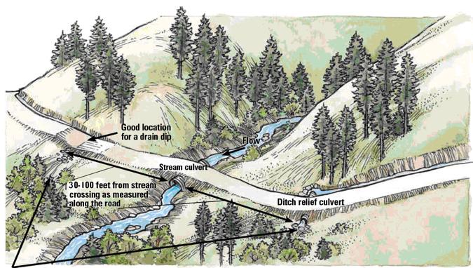 CALIFORNIA BOARD OF FORESTRY AND FIRE PROTECTION 393 Ditch drainage should be directed into vegetation and undisturbed soil filter, and not allowed to continue flowing down the ditch and into the