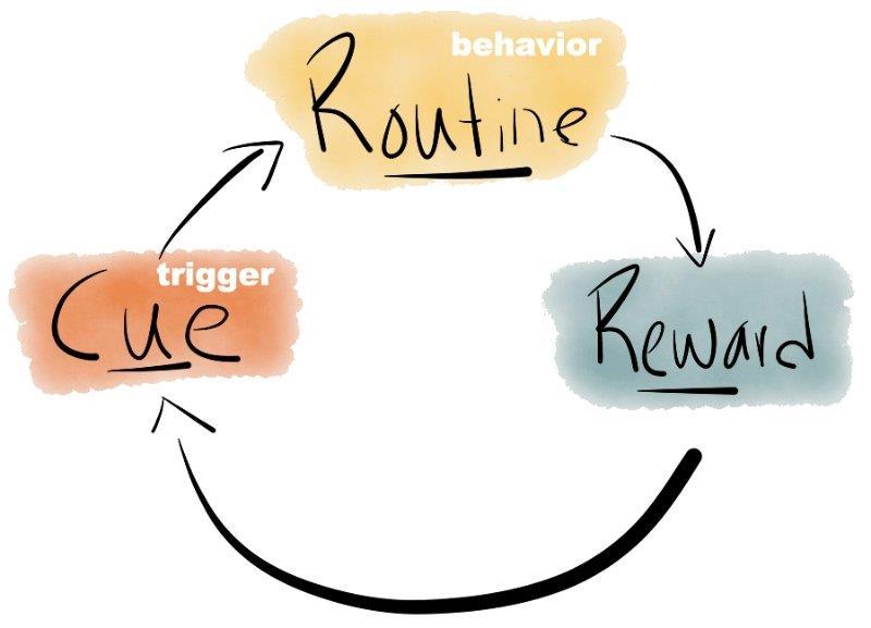 Habits A behavior repeated frequently soon becomes a habit. Habits form to ease the strain on our brains. Behavior is largely a function of our habits.