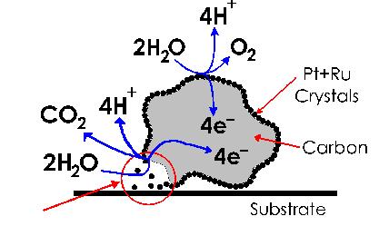 Degradation of carbon catalyst support and other carbon components during fuel starvation When Pt anode catalyst is supported on carbon, degradation can occur due to loss of catalyst support.