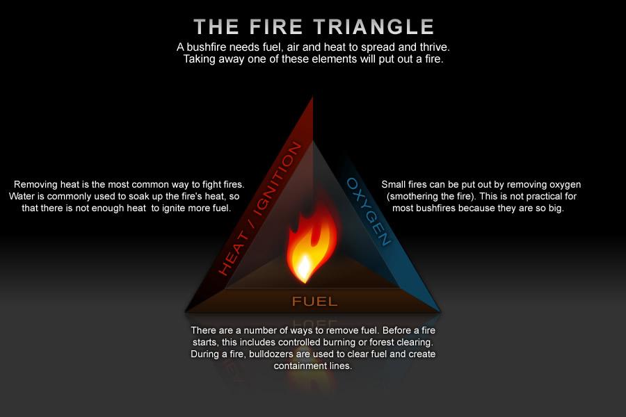 The Fire Triangle Three elements: fuel, oxygen and heat must be present to start and maintain a fire. In a forest fire: Fuel is the forest. Air provides the oxygen.