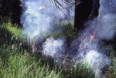 Relative Humidity: Relative humidity influences fire behaviour by affecting fuel moisture.