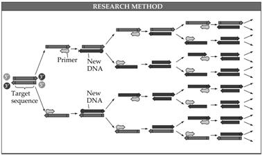 F. Practical Applications of DNA The principles of DNA replication can be used to determine the nucleotide sequence of DNA.
