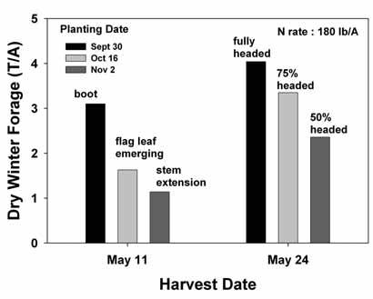 Shortened growing seasons for corn necessitate using shorter season and less productive hybrids.