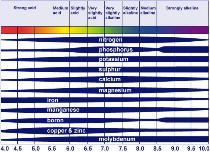 Moderate buffer ph preferred by most plants (6-8) Nutrient