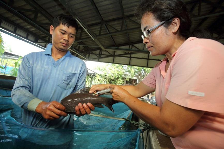 Chapter 2 The 4 th Regional Stakeholders Forum Fisheries The Mekong River is enriched with a remarkable diversity of