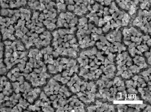 Fig. S9. A SEM image of a Ni-Bi/ film after repeated long-term electrolysis (total ca. 15 hrs) at either 0.86 V or 1.23 V vs RHE.