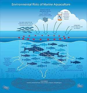 Art. 9 REFERED TO ECONOMIC ACTIVITIES Aquaculture (i) to take into account the need to protect aquaculture and