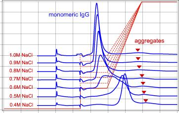 Convert to step gradient Protein A purified human monoclonal IgG1, CHT type I 20 µm All experiments in 5mM NaPO4 at ph 7.