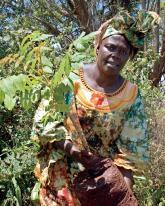 While doing further research on the internet, he stumbled across the story of Wangari Maathai, a Nobel