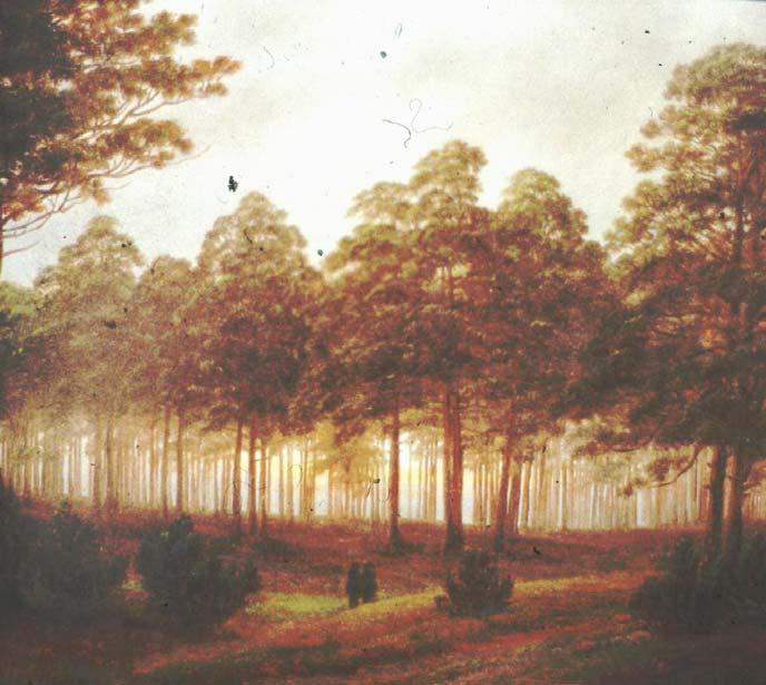Managing Forests for recreation an old and ongoing discussion In the early beginnings of forestry, a controversial discussion emerged about the roles of landscape aesthetics and recreation vs.