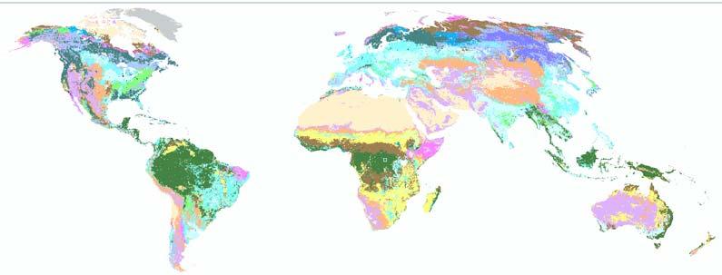 Diversity of land ecosystems IGBP land cover map