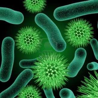 Biological Treatment Natural biodegradation is insignificant Bacterial directed