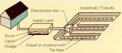 7) is a fied where the effuent from a septic tank is disposed of. It can be constructed by aying a network of perforated pipes (pipes with tiny hoes) in excavated soi which has a bed of grave.