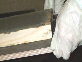 Place samples in a safe place to allow concrete to cure undisturbed for 7 days.