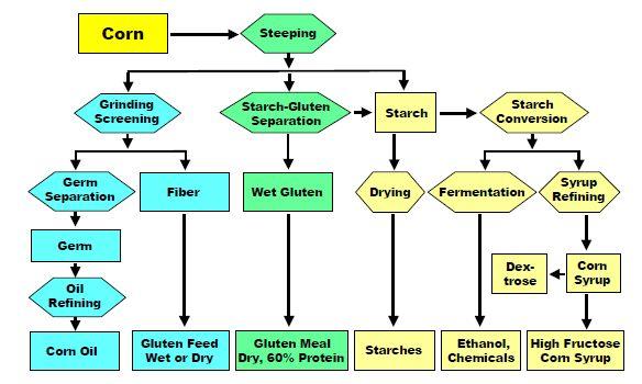 8 individual kernels of corn are fractionated into components; starch, germ cake, fiber, gluten meal, crude oil and solubles (Gulati et al., 1996).