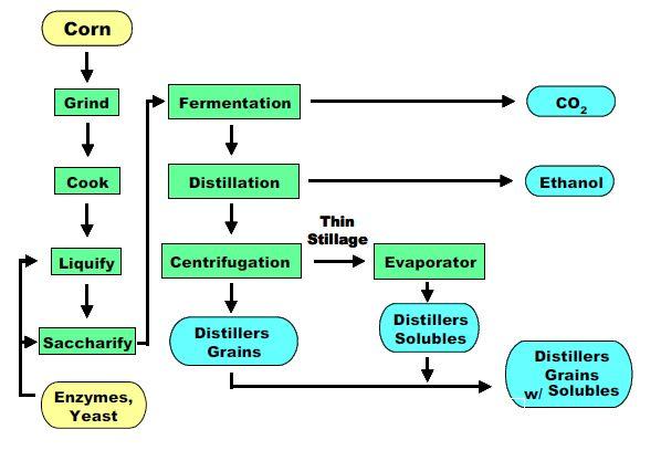10 process (Figure 2.2) include; grain handling and milling, liquefaction and saccharification, fermentation, distillation and dehydration; and co-product recovery (Dale and Tyner, 2006). Figure 2.2. Dry-grind ethanol process (Butzen and Haefele, 2008).