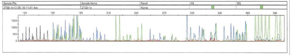 Genotyping Results For molecular typing, we used a exploratory in-house single SNP method.
