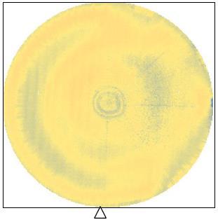 an 8" full wafer. Figure 10 shows that all shear failures are within solder bumps and shear strengths well exceed the criterion (> 2 g/mil 2 ).