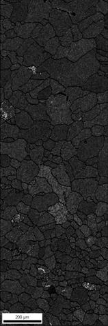 dislocation density while black regions are grain boundaries or bad data filtered out by the software.