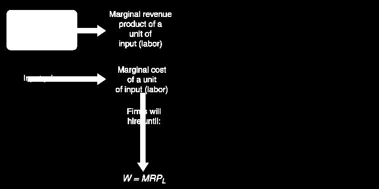 Comparing Marginal Revenue and Marginal